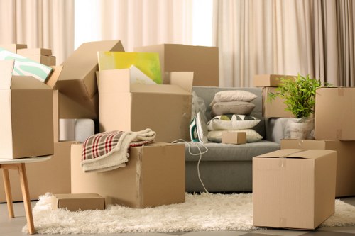 Professional mover completing a safe and organised man with van service